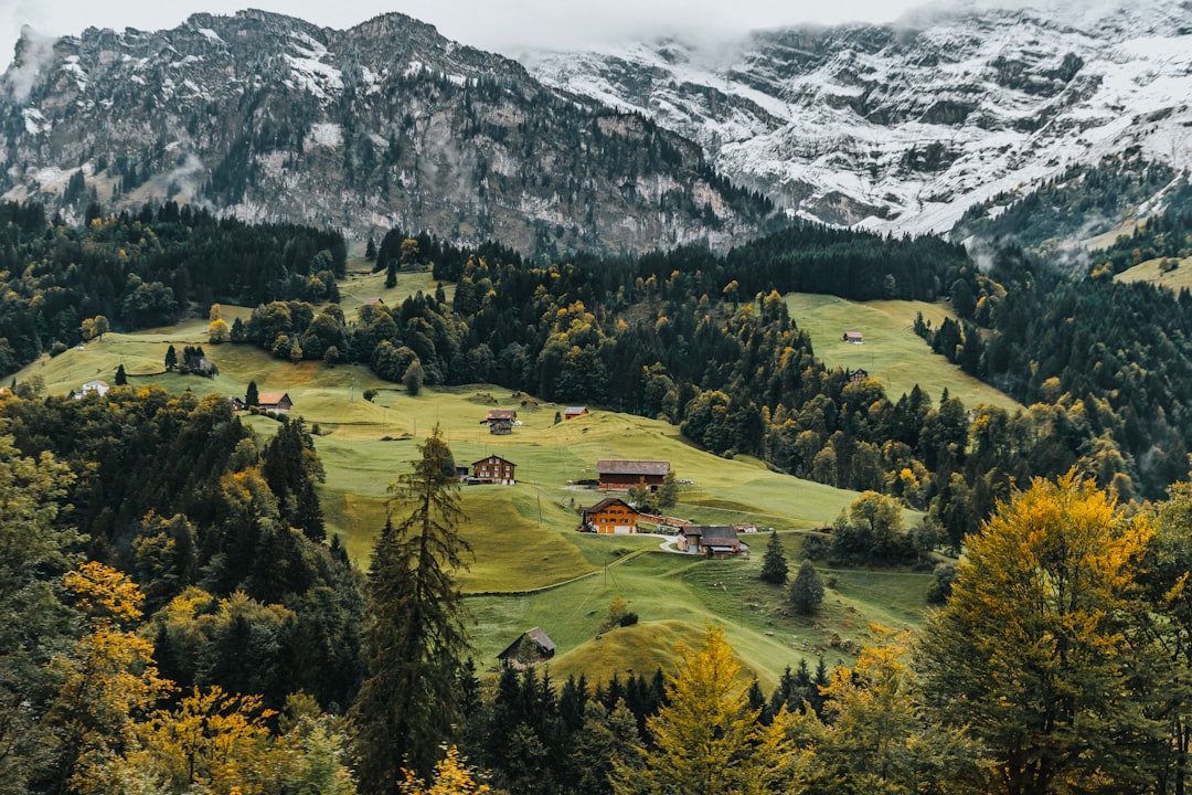 PostFinance Switzerland Review: Banking, Cards, and Digital Services